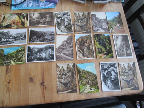Postcards cheddar lion - 18, cheddar,