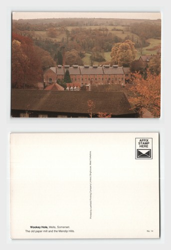 Vintage postcard wookey hole - postcard,