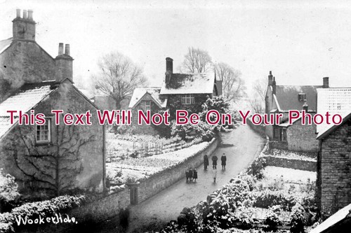 247 snow scene - -, wookey