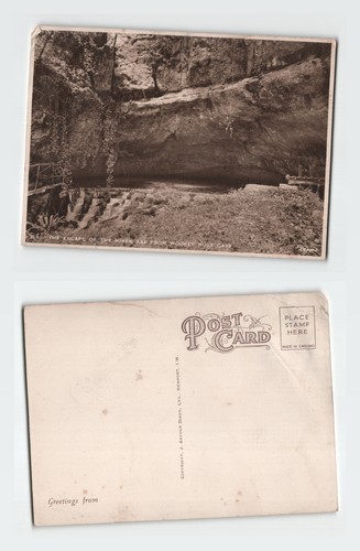 Vintage postcard wookey hole - vintage,